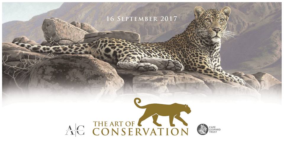 Read more about the article The Art of Conservation in support of the Cape Leopard Trust